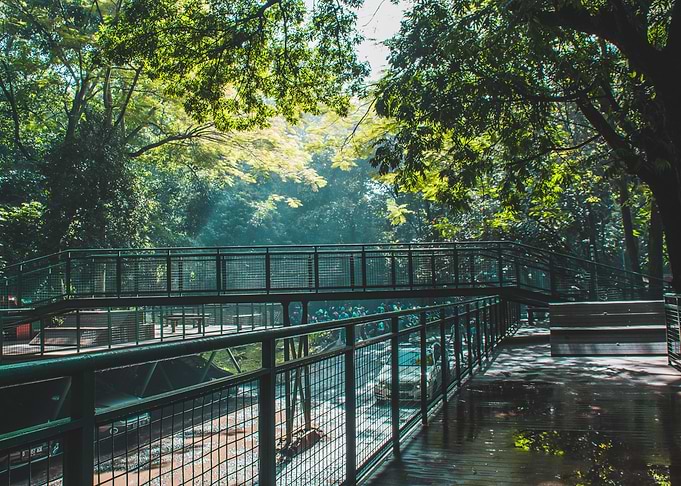 city park