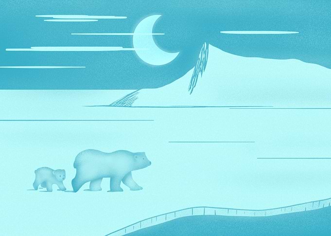 Polar bears