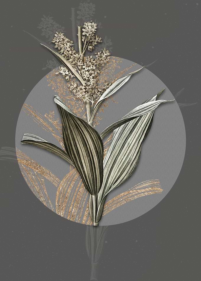 Vintage False Helleborine