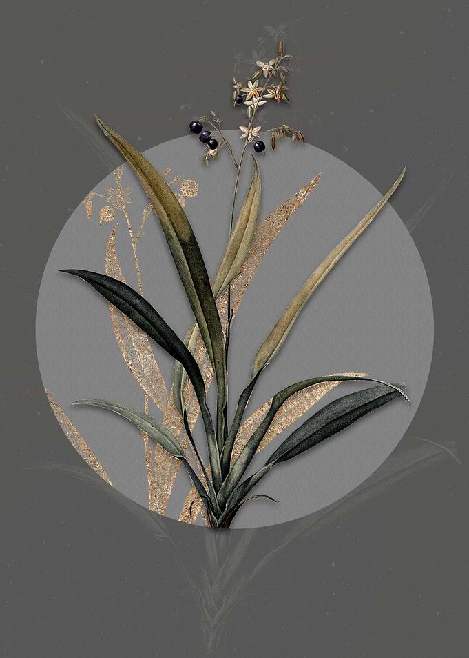Vintage Flax Lilies Flower