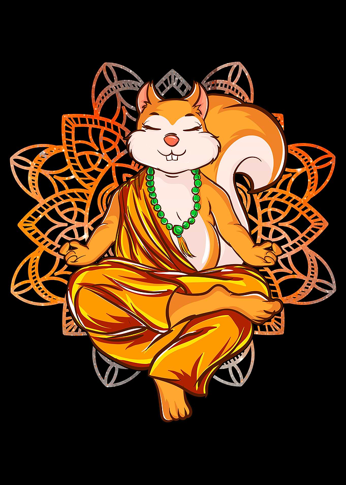 Squirrel Yoga Meditation