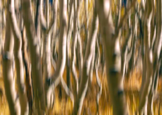 Aspen Abstract