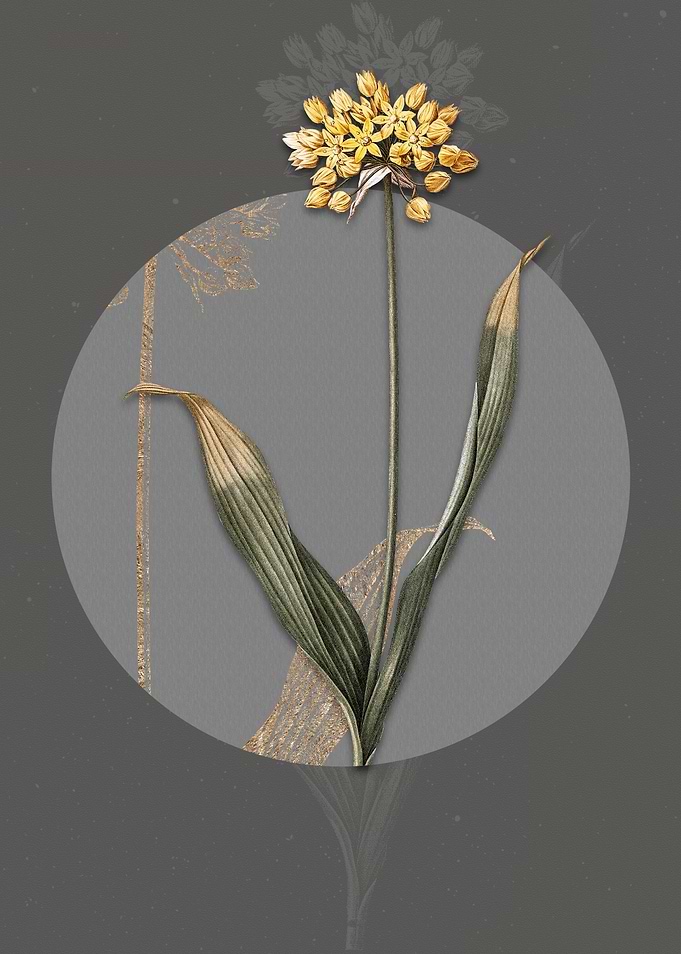 Vintage Golden Garlic