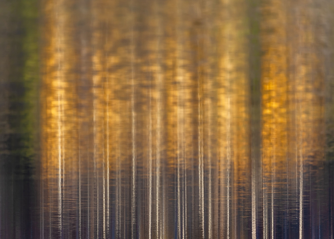 Fall Abstract