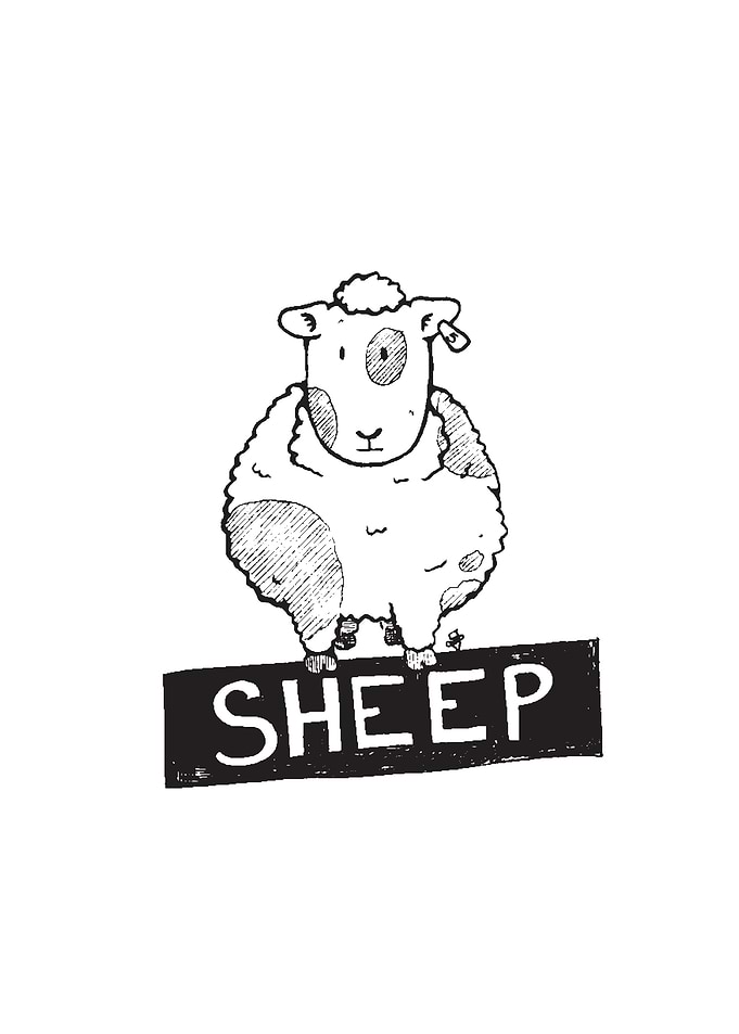 Sheep number 5