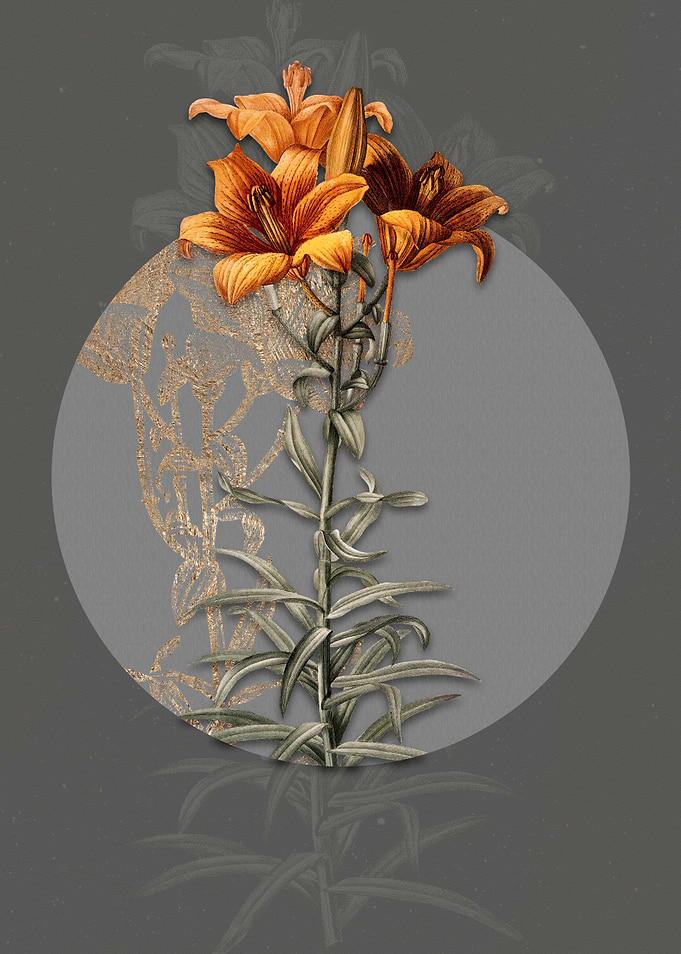 Vintage Fire Lily Flowers