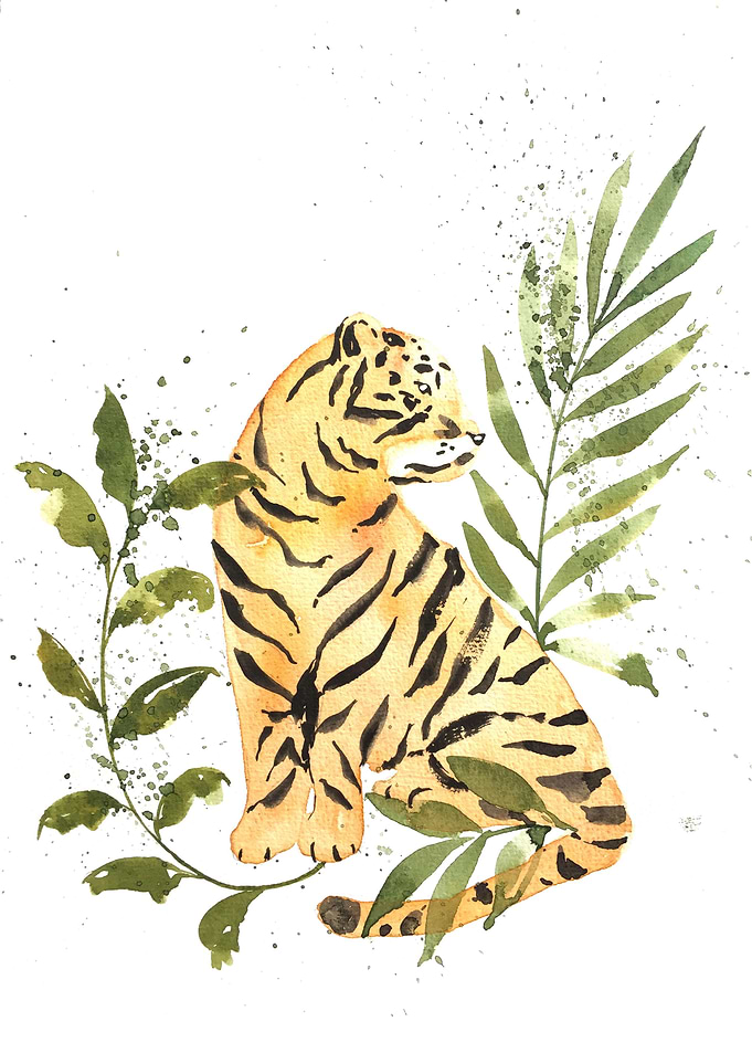 Animal