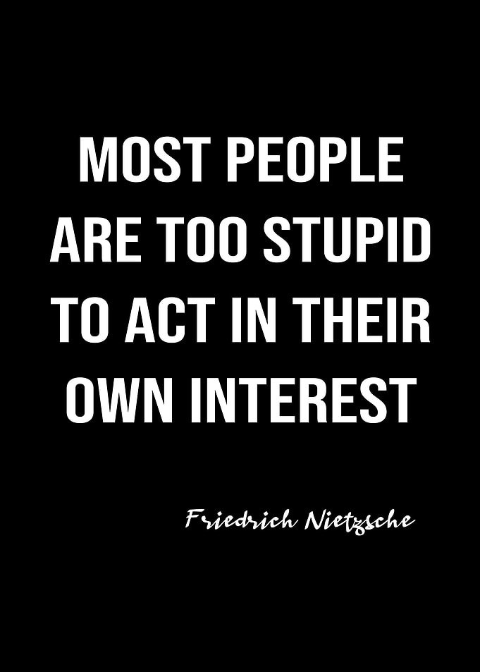 Nietzsche On Stupid People