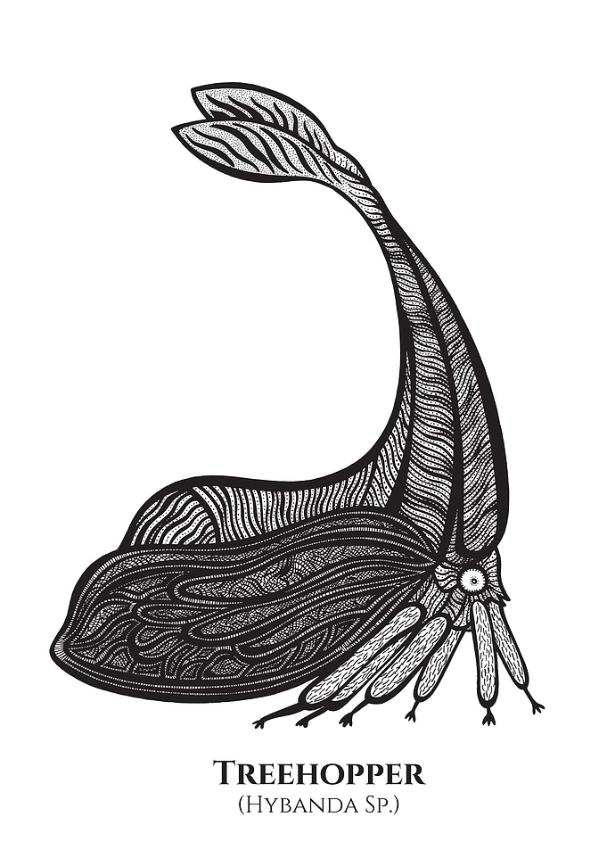 Treehopper Y Horned