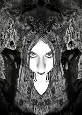 Thee Owl Queen