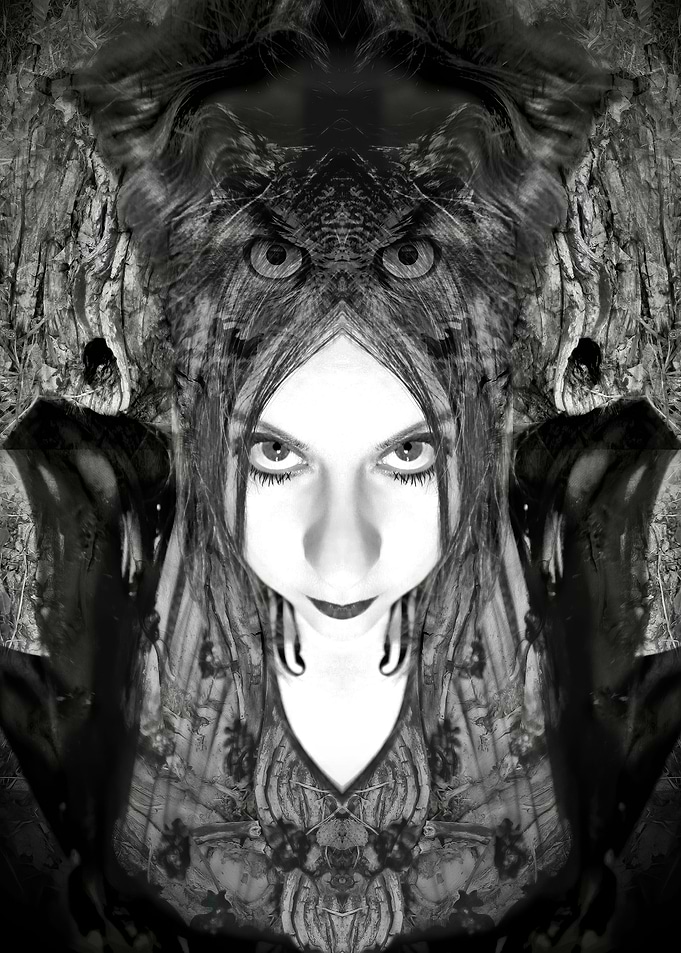 Thee Owl Queen