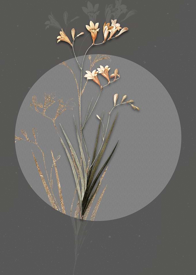 Vintage Freesia Flower