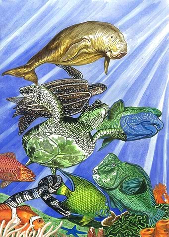 Ocean Life
