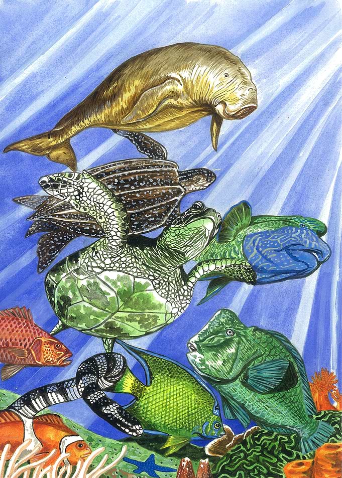 Ocean Life