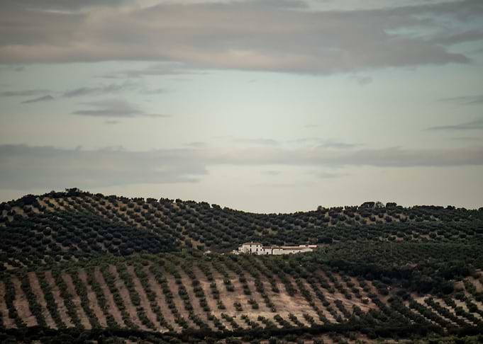 Spanish Farm
