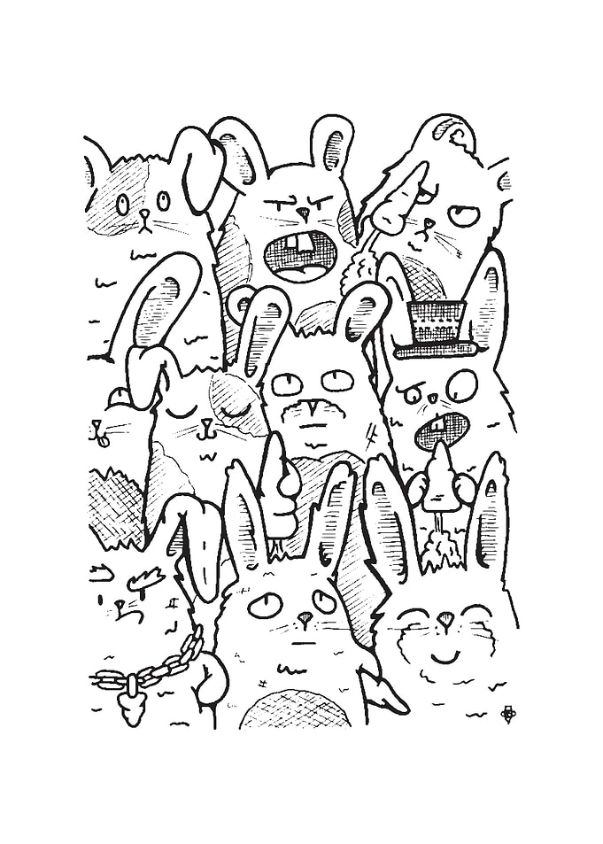 A fluffle of rabbits