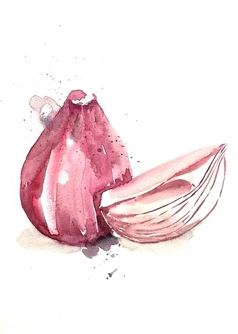 Vegetable