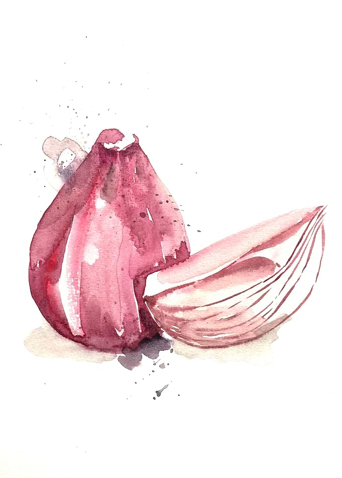 Vegetable