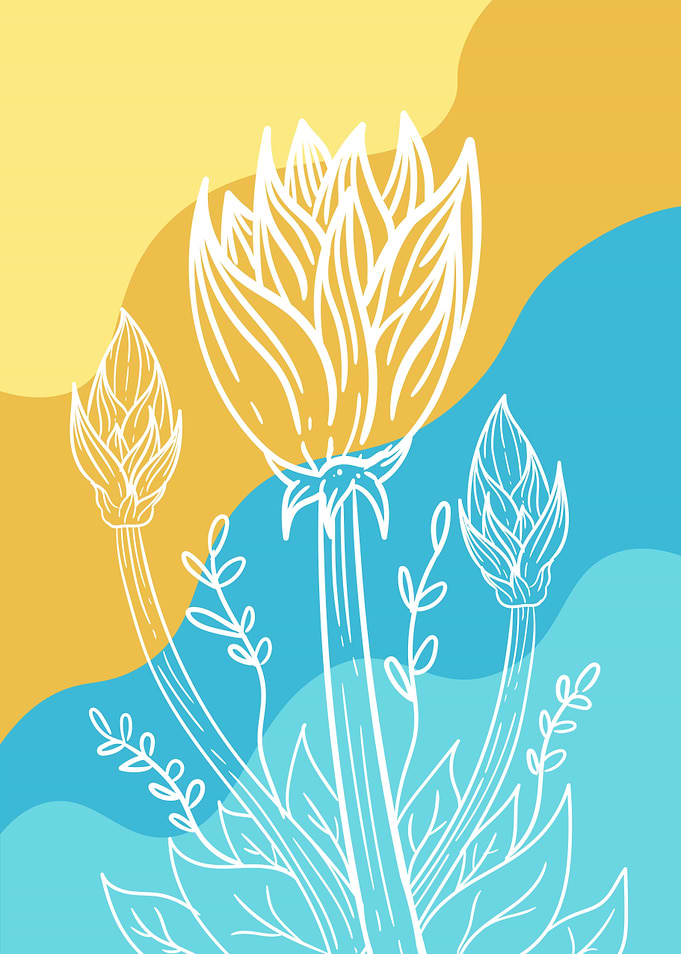 lotus flower