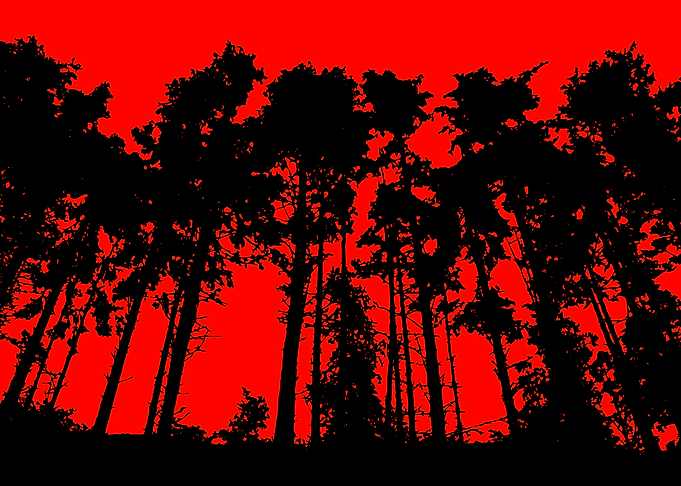 Tree Line