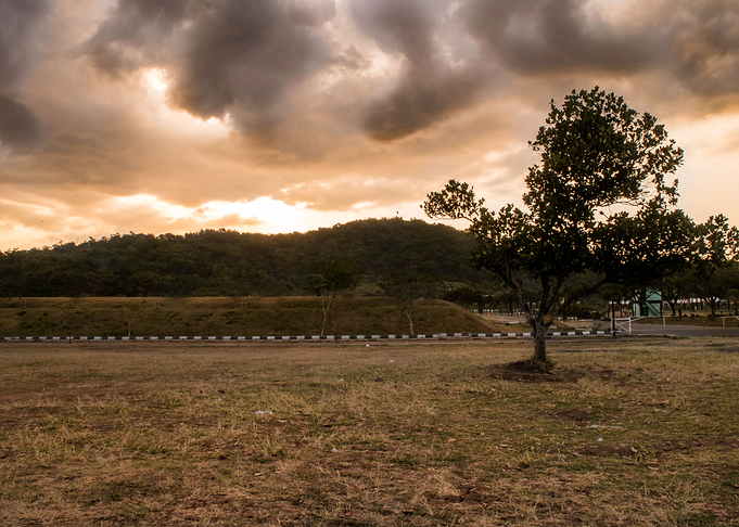 sunset in park