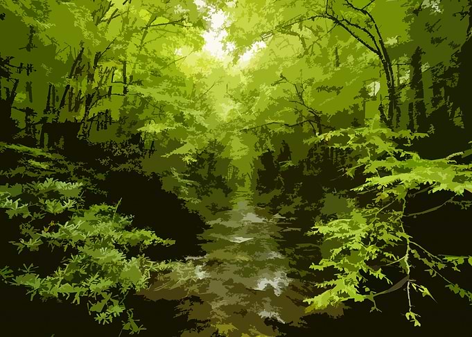 forest 20