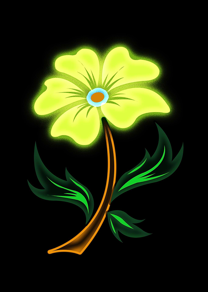 Flower Glow in The Dark