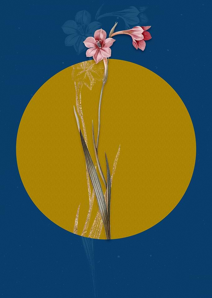 Vintage Sword Lily Flower