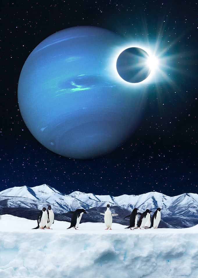 Penguins