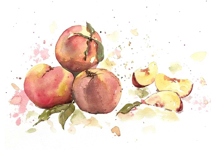 Fruit