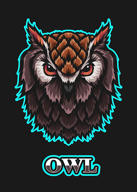 Owl illustration