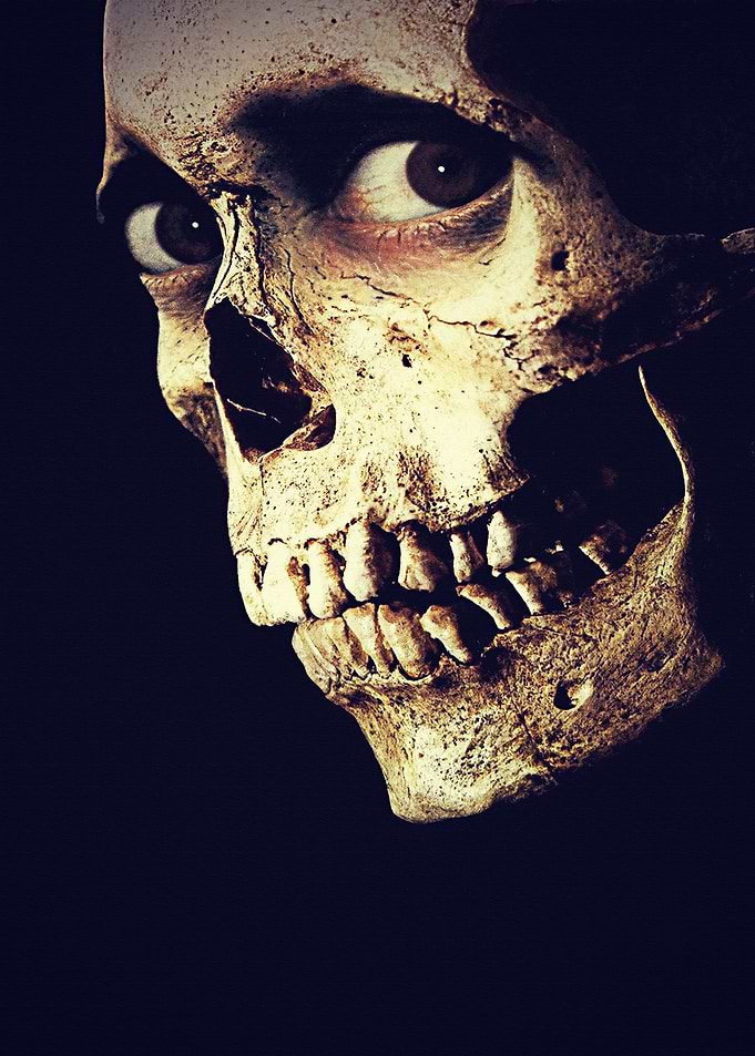 Evil Dead Jane Levy Shiloh