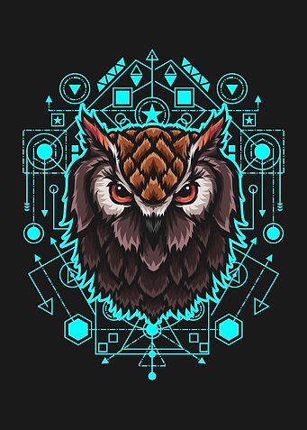 Owl illustration