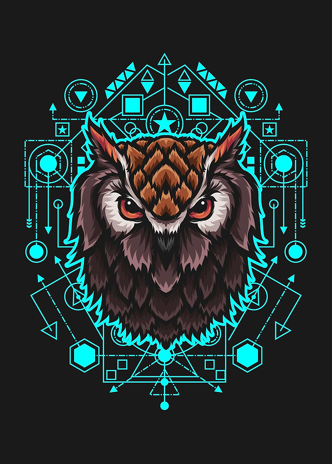 Owl illustration