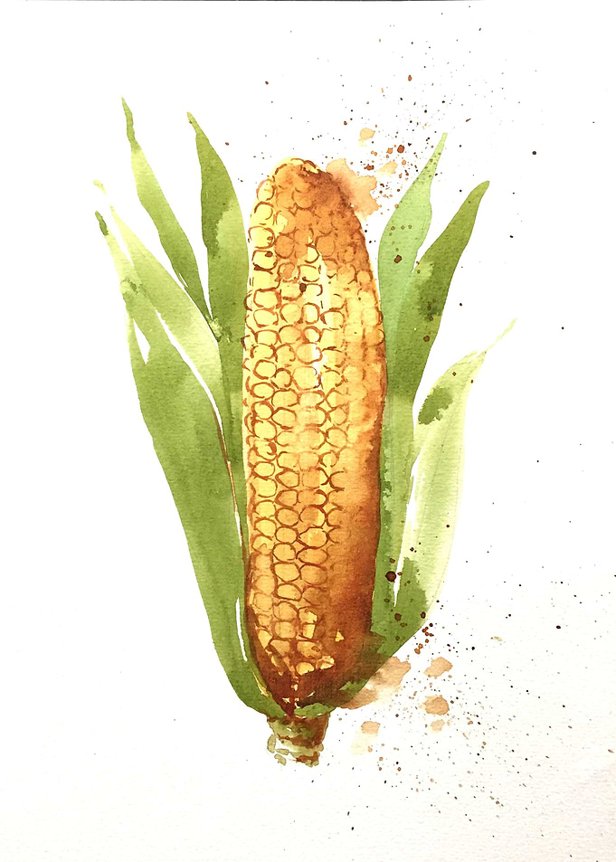 Vegetable