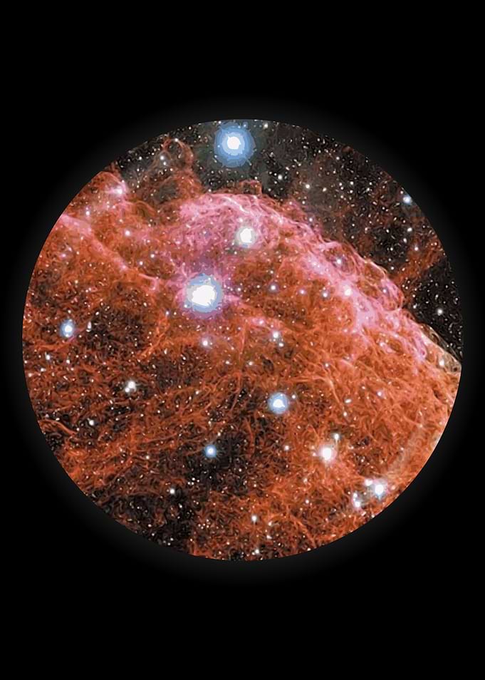 Supernova Brain