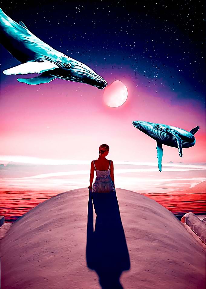 Whales flying in night sky