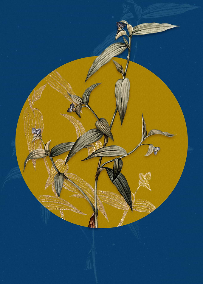 Vintage Tagblume Flower