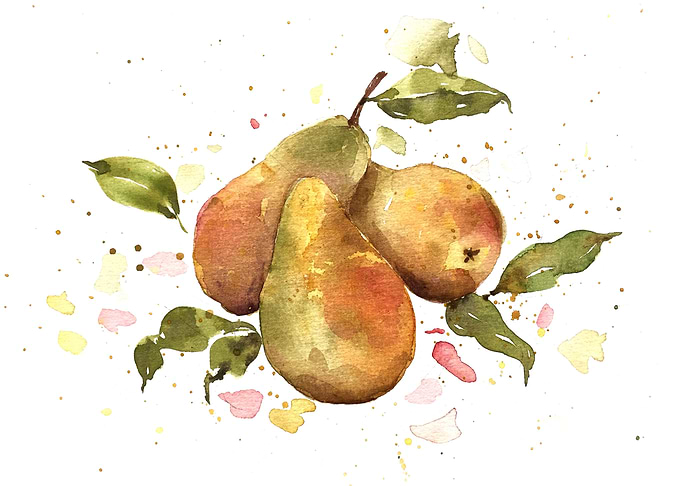 Fruit