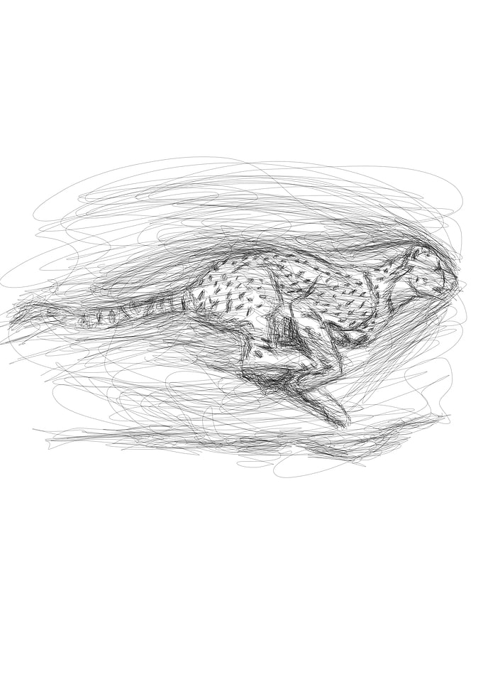 Leopard Scribble