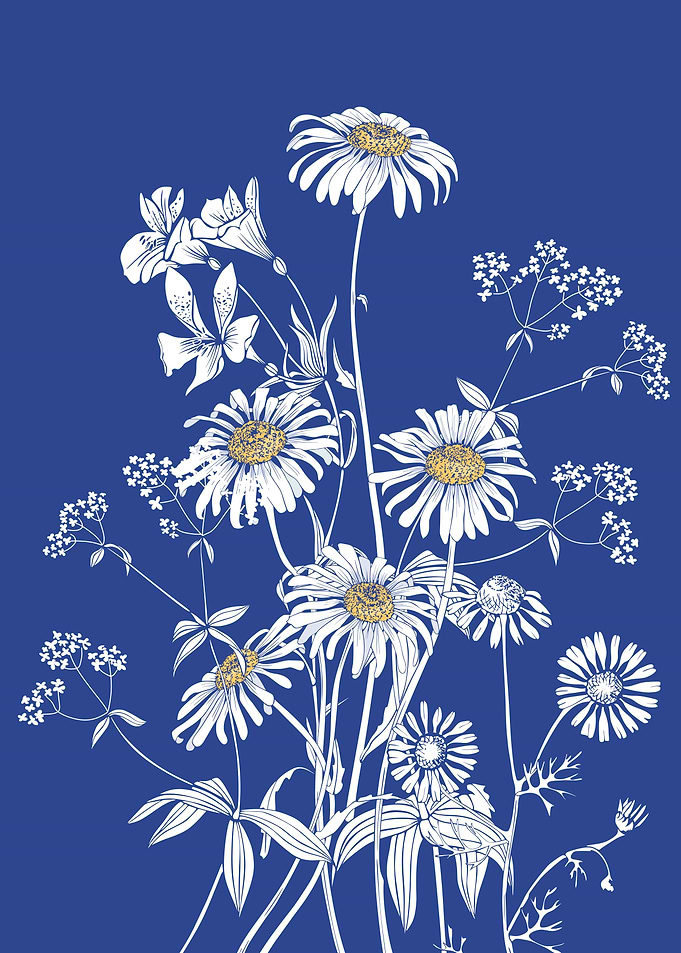 Blue Daisies