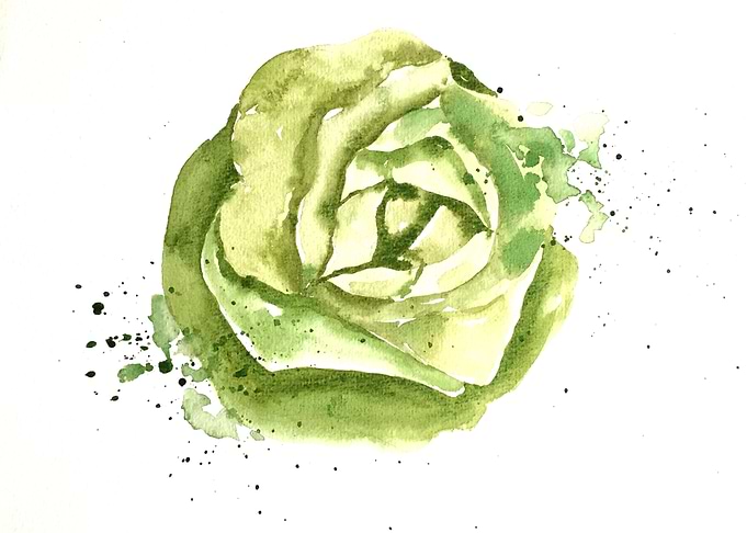 Vegetable