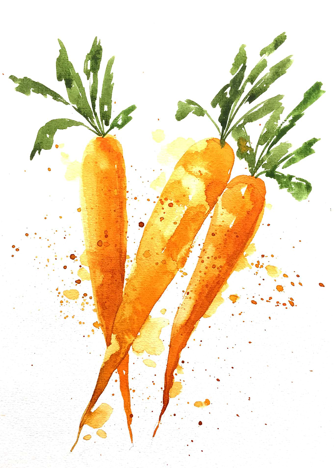 Vegetable