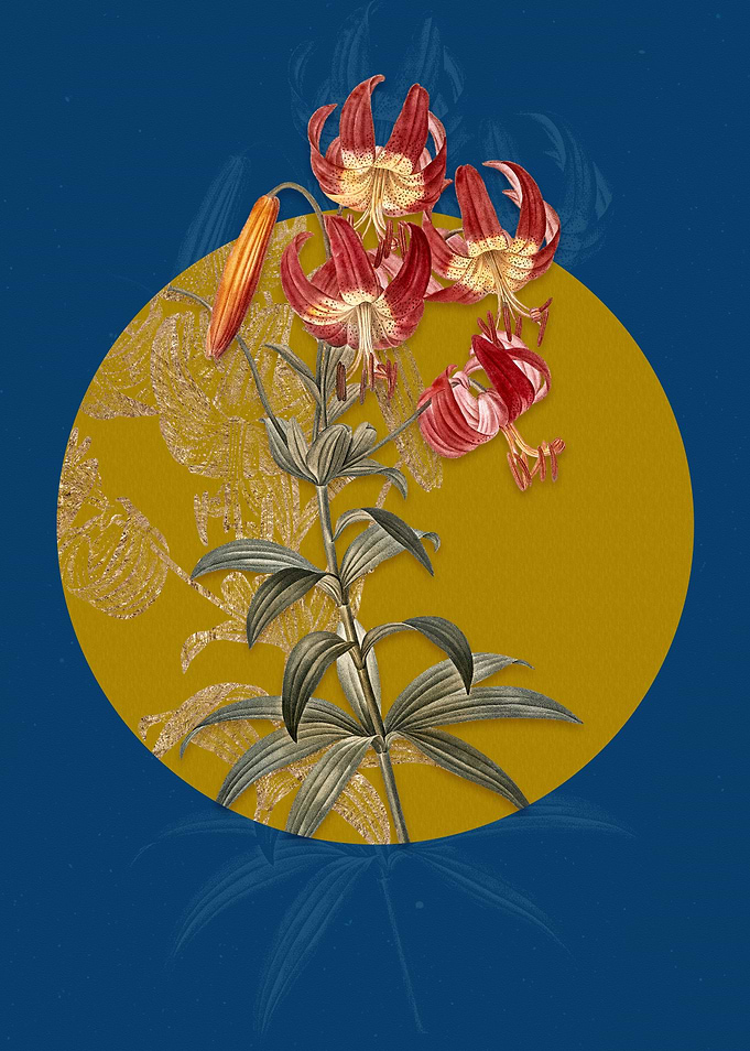 Vintage Turban Lily