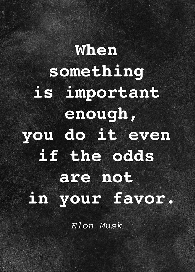 Elon Musk Quote D002