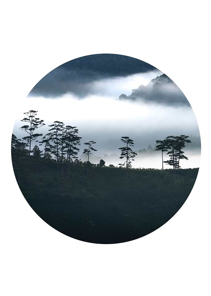 Cloudy Mountain Scandy