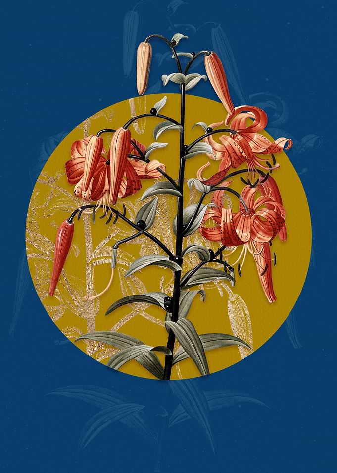 Vintage Tiger Lily Flower