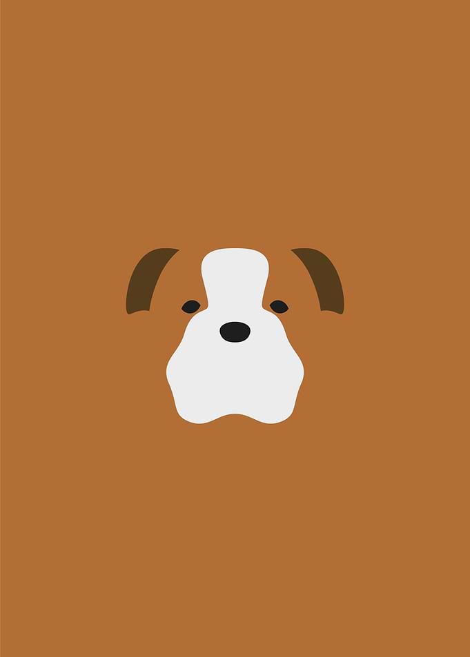 Bulldog