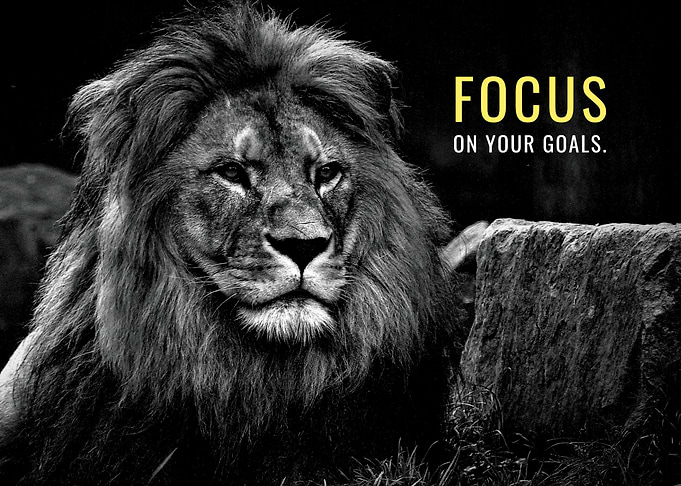 Focus on your Goals