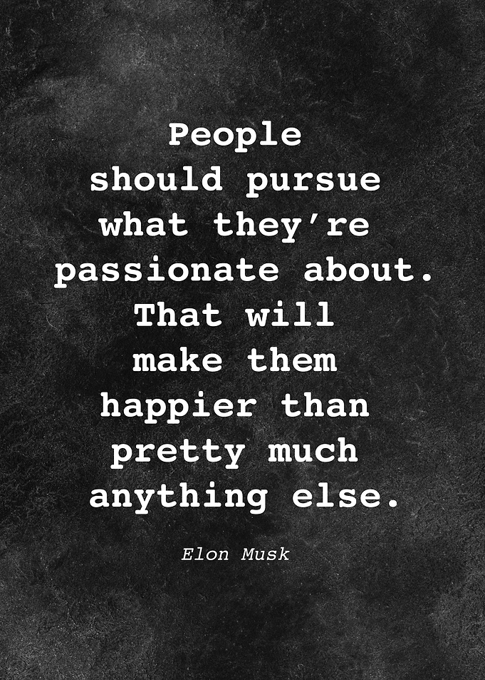 Elon Musk Quote D010